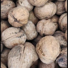 ** گردو  اعلا یاسوج