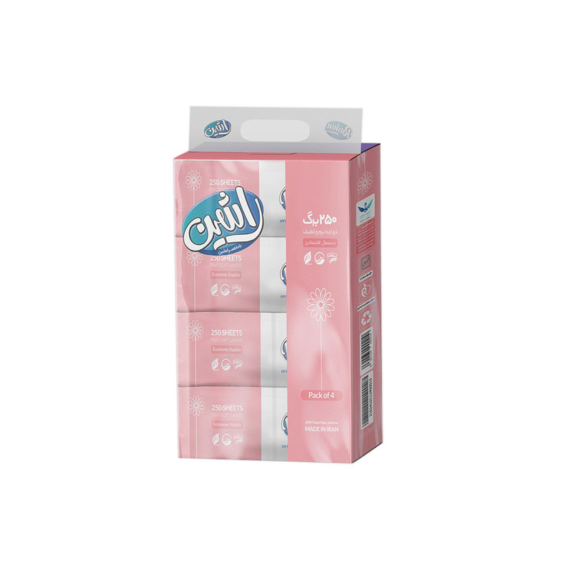 دستمال کاغذی اقتصادی دولایه 250 برگ  راشین- 4 عددی