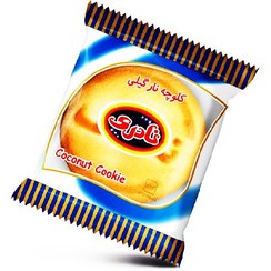 کلوچه سوغات نارگیلی نادری-105گرم