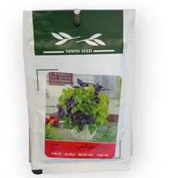 ریحان سبز ایتالیایی آرنگ -150گرم